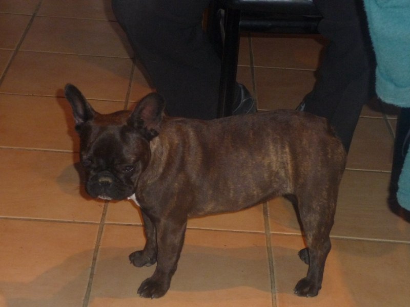 Farenheit